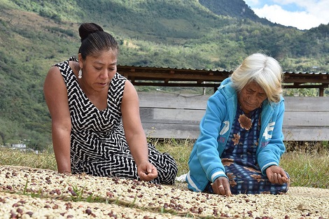 La mexicana ganó el primer lugar seguida de una guatemalteca y una peruana. 