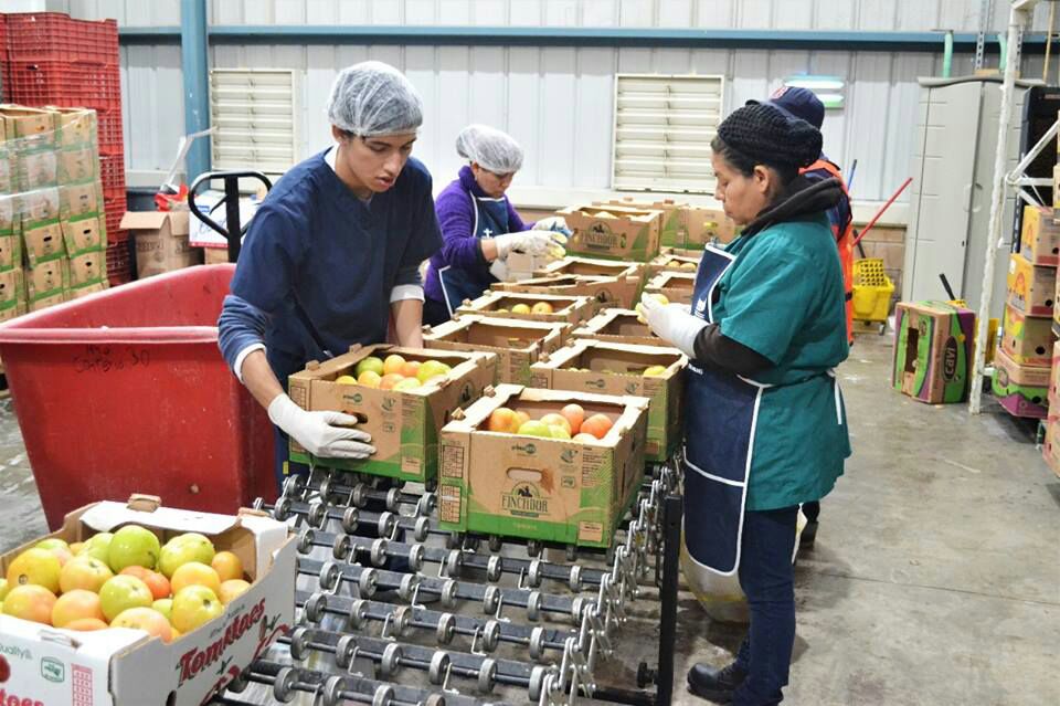 Entre 2014 y 2016, la incidencia de pobreza multidimensional pasó de 20.4 a 14.2 por ciento.