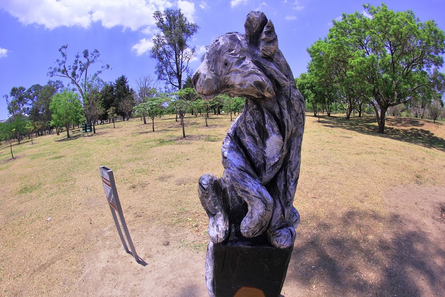 Las esculturas corresponden a la edición 3 del Simposio Internacional de Escultura en Madera en el Parque Metropolitano.(Francisco Martínez)