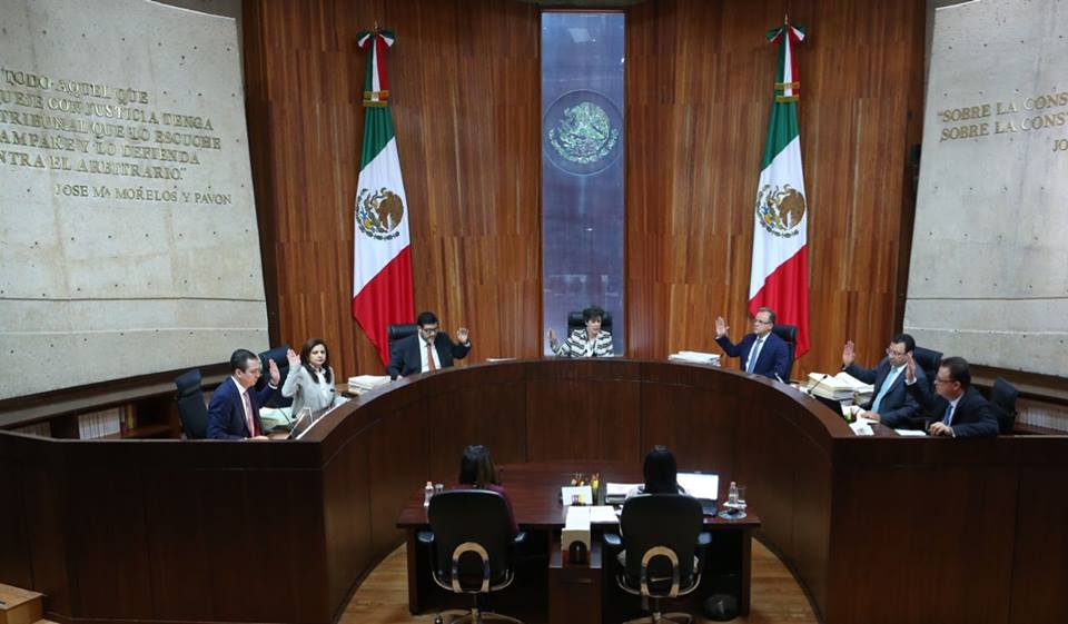Tribunal Electoral del Poder Judicial de la Federación (TEPJF).