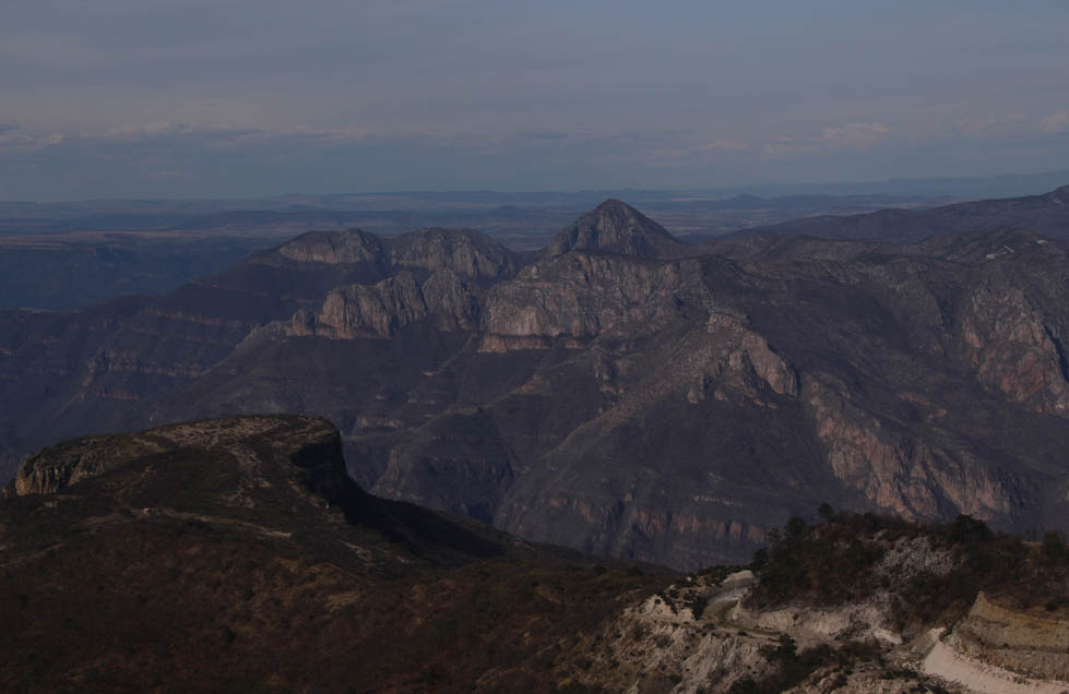 Se debe de proteger la biodiversidad que existe en el país.