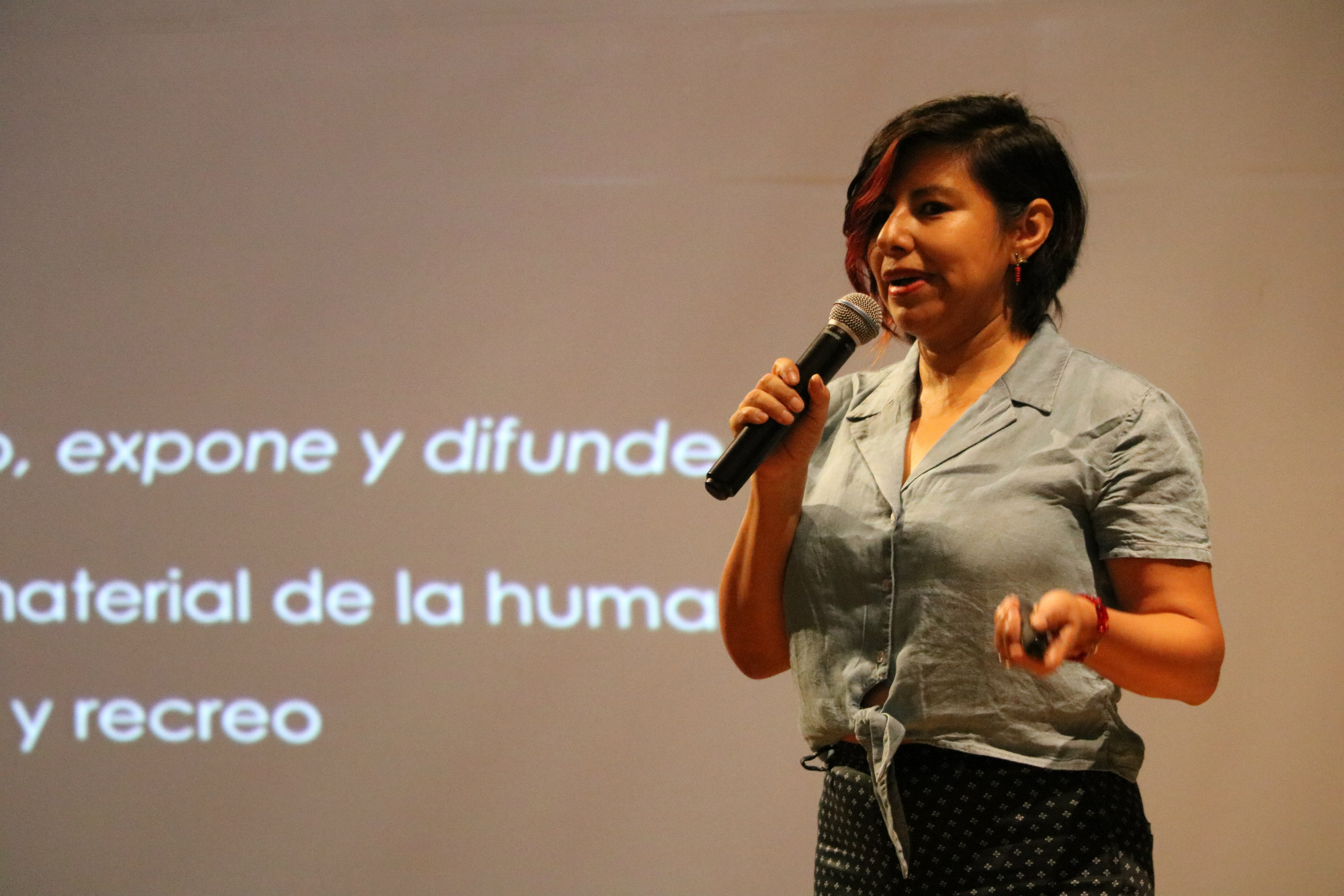 La investigadora Leticia Pérez Castellanos. (Foto: Gustavo Mendoza)