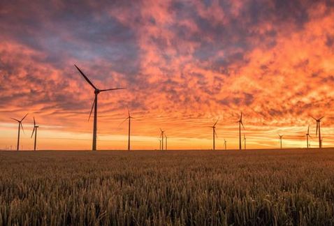 Las torres eólicas forman parte de la inversión extranjera en Tamaulipas.