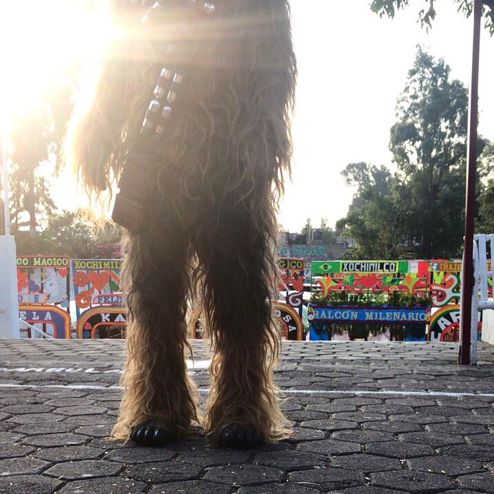 'Chewie' estuvo de visita en Xochimilco disfrutando de las famosas trajineras.