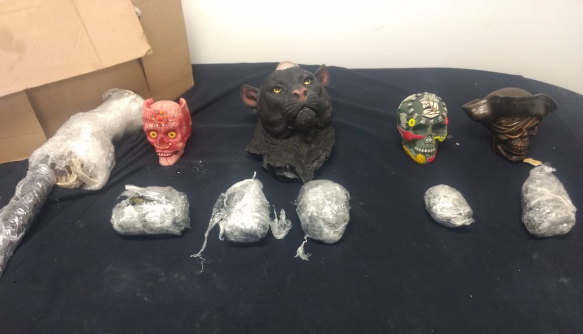 Con el apoyo de perros entrenados en la detección de drogas se pudo localizar la droga. (Cortesía)