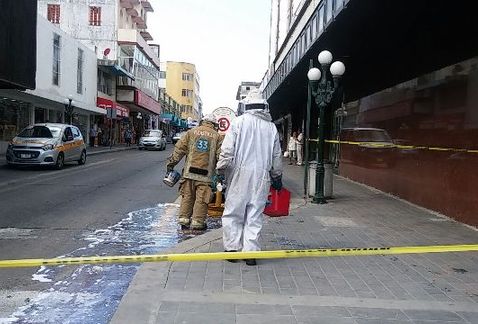 Elementos de bomberos aplicando medidas de seguridad por presencia de abejas. (Jesús García )