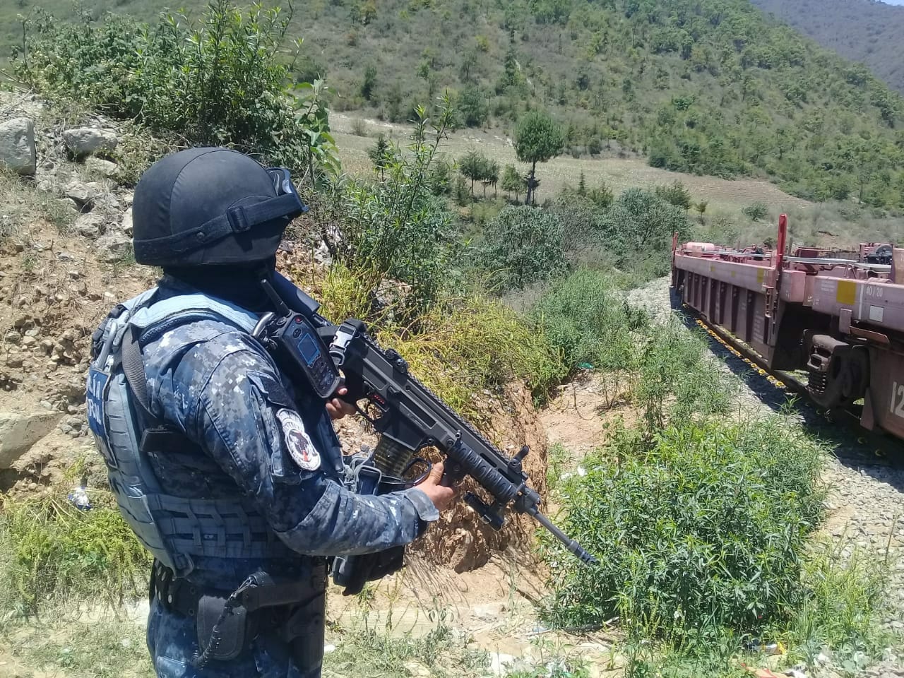 Los elementos de la Gendarmería vigilan el paso de los trenes por Veracruz. (Especial)