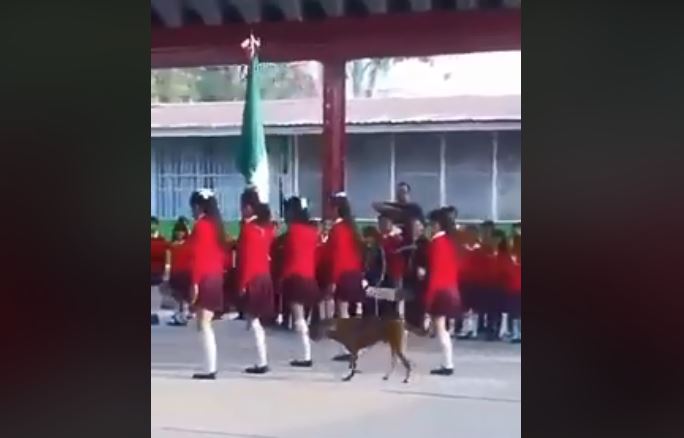 El perrito marcha acompañando a la escolta de la escuela. (Foto: Facebook)