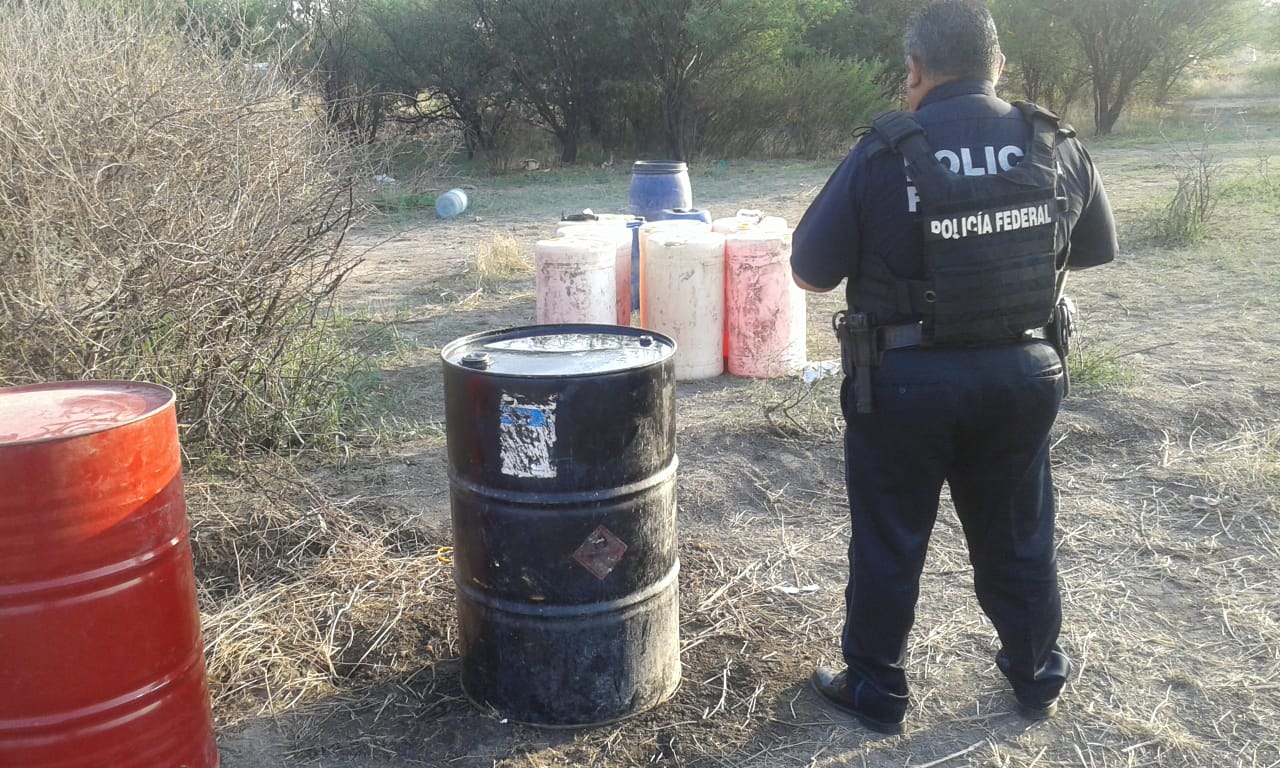 Policía Federal en aseguramiento. (Foto Cortesía)