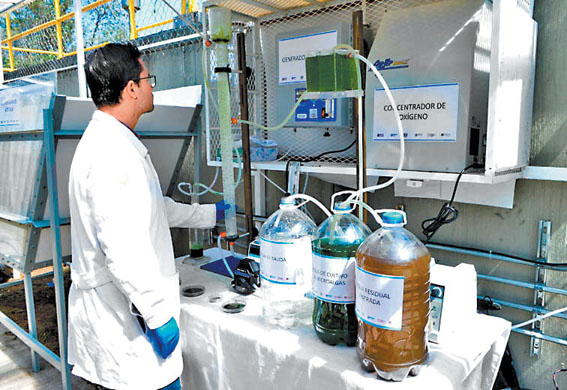 Bautizada como "Atzintli", utiliza microalgas del lago de Texcoco. (Especial)