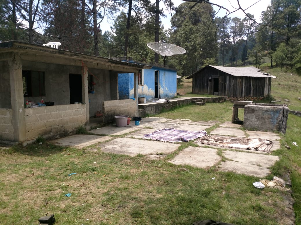 Vigilaban calles y casas de seguridad.