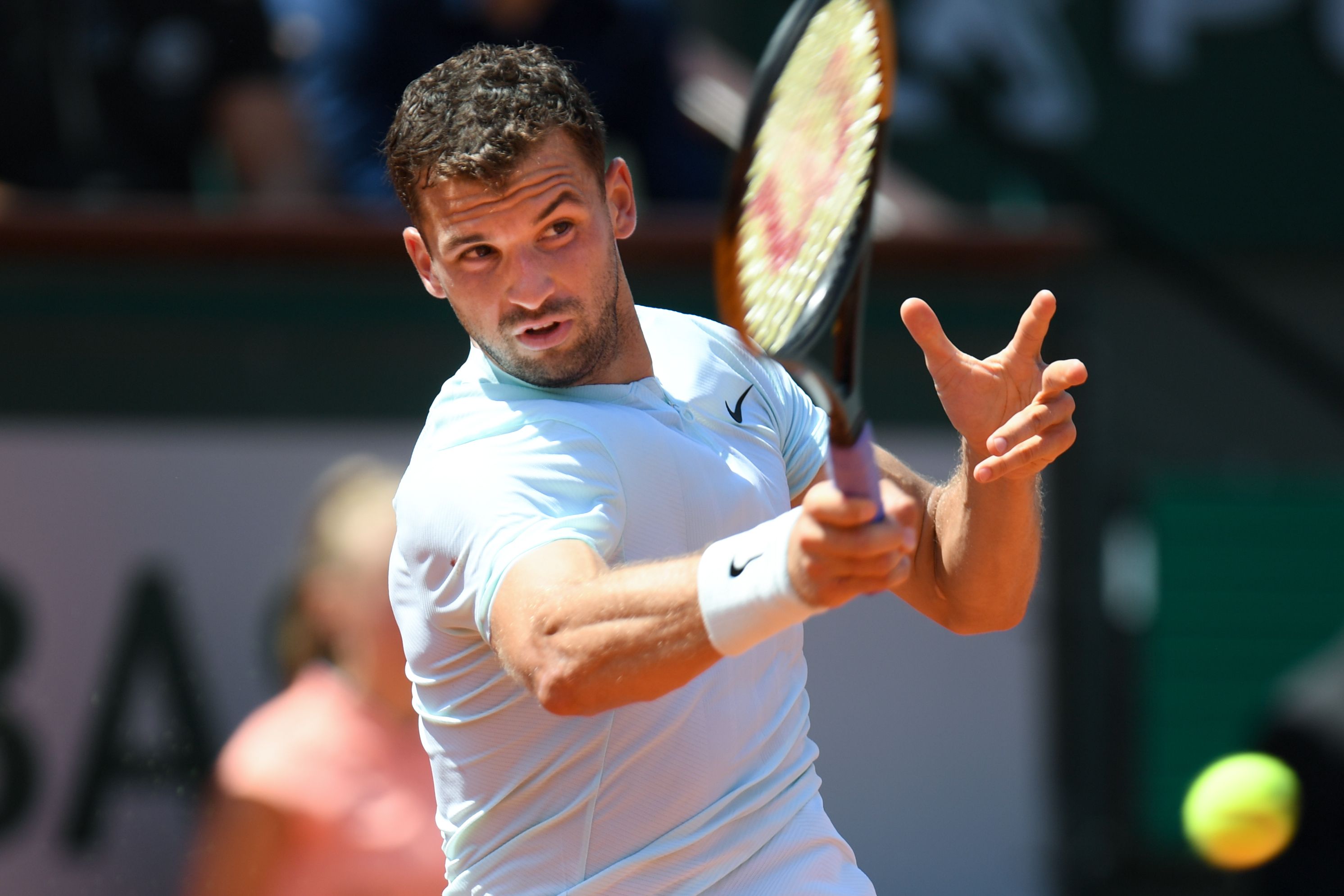 Grigor Dimitrov (AFP)