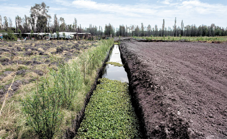 La rehabilitación se realizará en conjunto con la Comisión de Recursos Naturales de Ciudad de México.  (Jesús Quintanar)