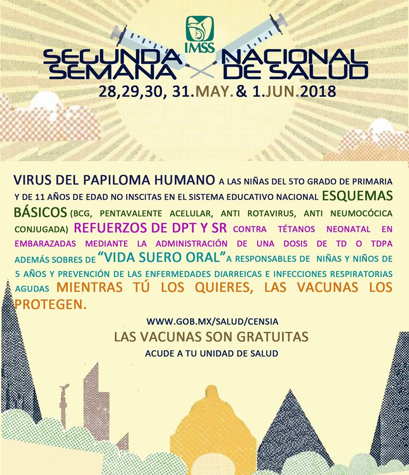 El cartel del Corona Capital 2018 fue modificado por el IMSS. (Cortesía)