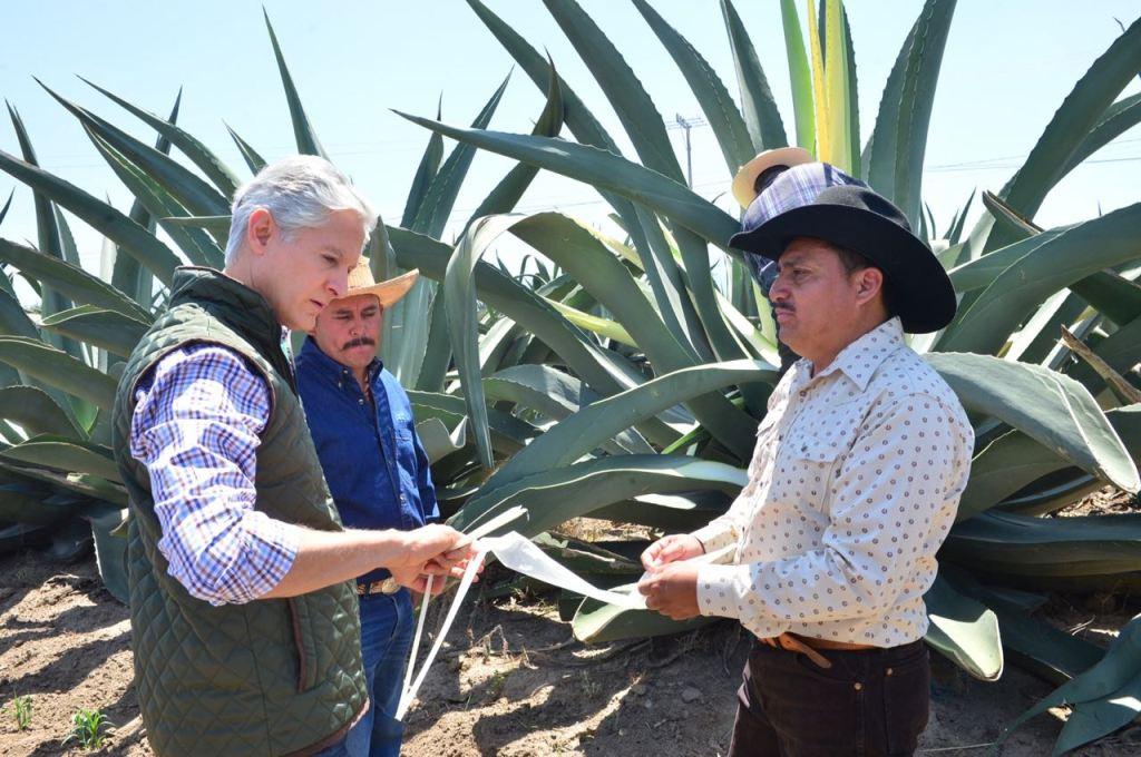 El gobernador recorrió la zona de producción de pulques. (Especial)