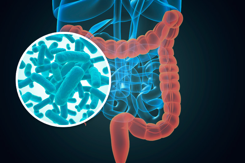 Una microbiota intestinal sana comienza con mejorar la alimentación. (Especial)