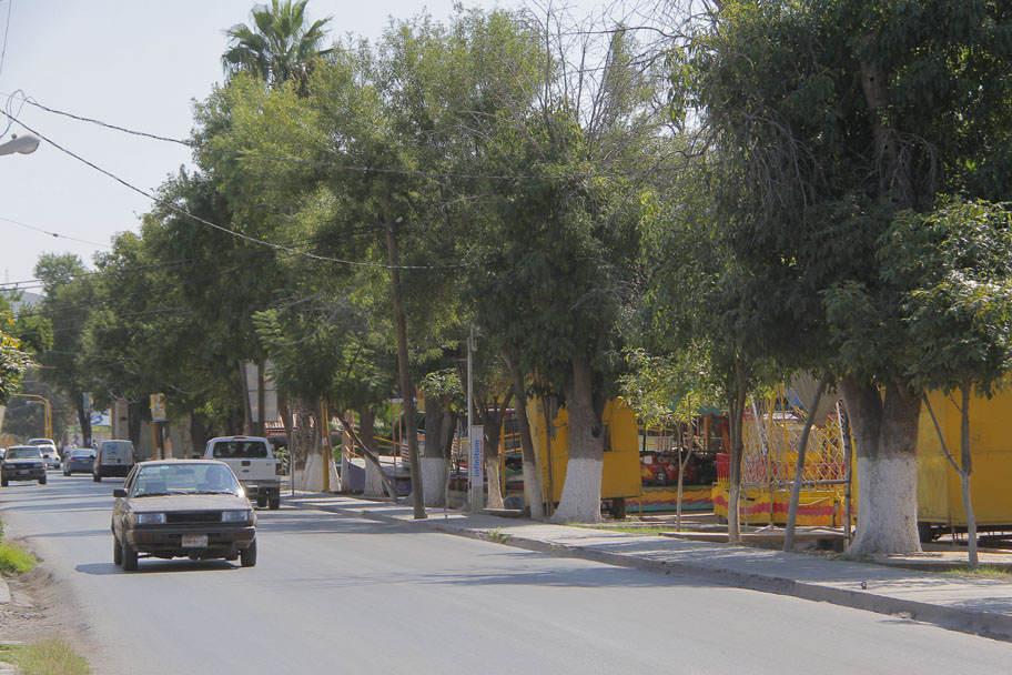 Se mencionó que otro de los problemas es que la región no cuenta con especies nativas. (Milenio Digital)