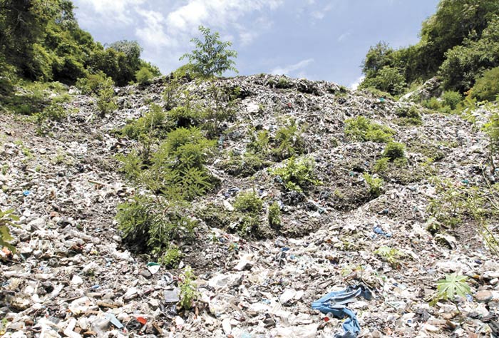 El basurero de Cocula, donde presuntamente los jóvenes fueron quemados (Héctor Téllez)