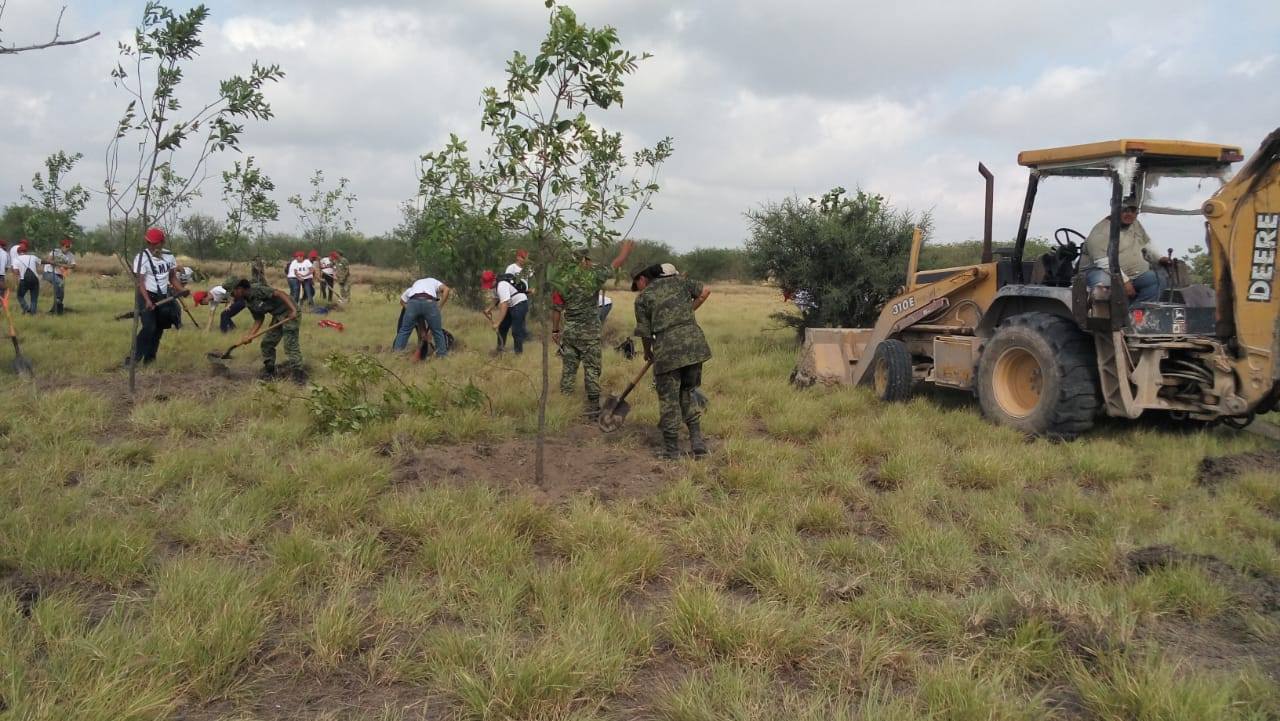 Se estima que el área esté lista en primavera de 2019. (Foto: Especial)
