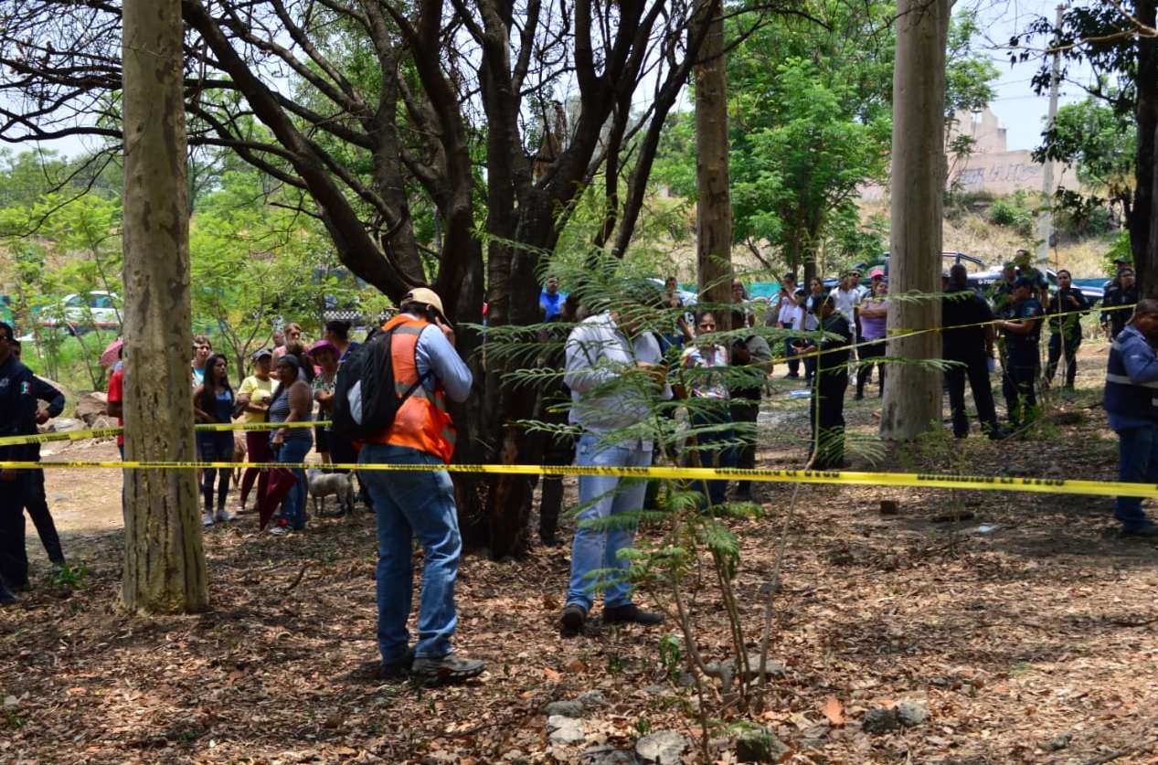 Vecinos, el Ayuntamiento de Guadalajara y una inmobiliaria, continúan la disputa legal por el terreno de bosque urbano (Especial)