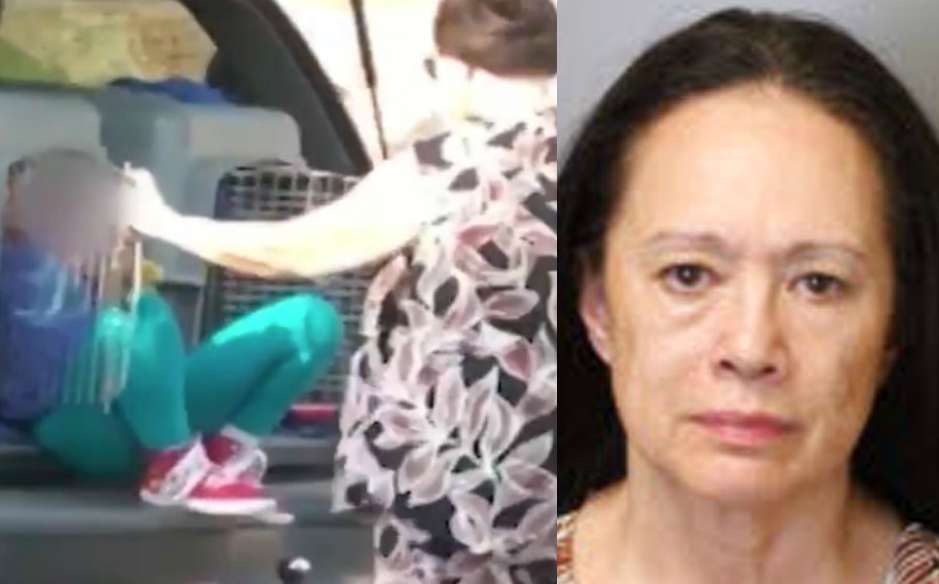 Abuela saca a pasear a sus nietos en jaula para perros- Grupo Milenio