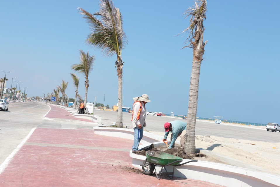 Playa Miramar (Cortesía)