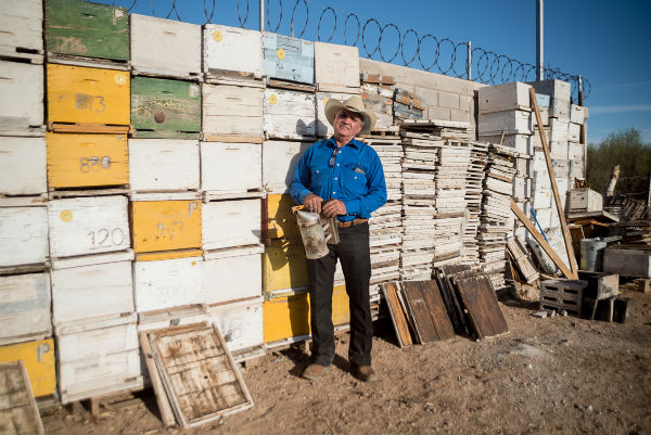 Rogelio López en uno de sus apiarios cerca del aeropuerto de Hermosillo, Sonora.