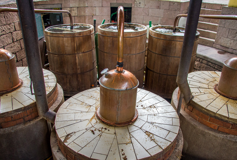 La afluencia del turismo en México ha incidido positivamente en la difusión de la cultura del mezcal