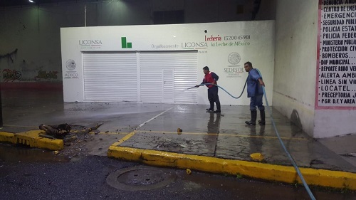 Brigadas de apoyo. (Especial)