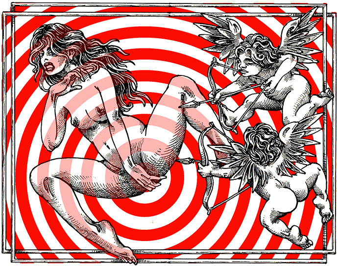 Eko Ex Libris Volutas