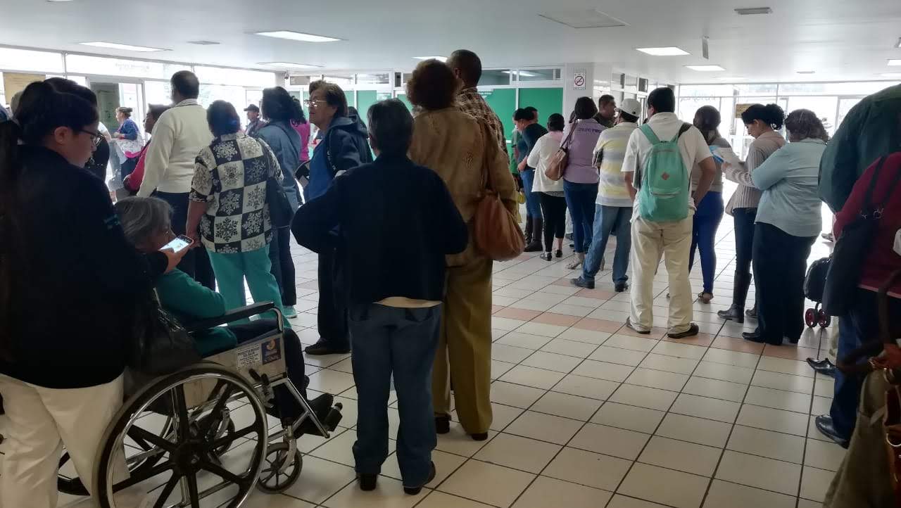 Directivos del Seguro Social negaron que haya plaga en alguno de los pisos