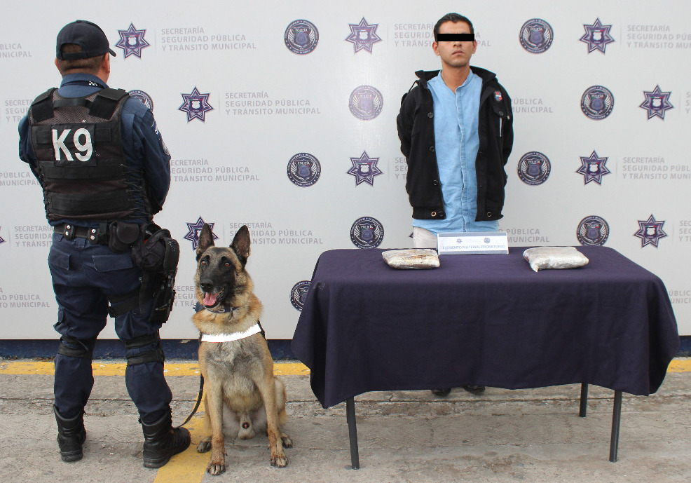 El sujeto poseía más de dos kilogramos de posible heroína; elementos de la unidad canina lograron su detención.