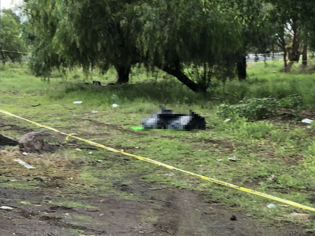 Desmembrado en Pénjamo. (Foto cortesía)