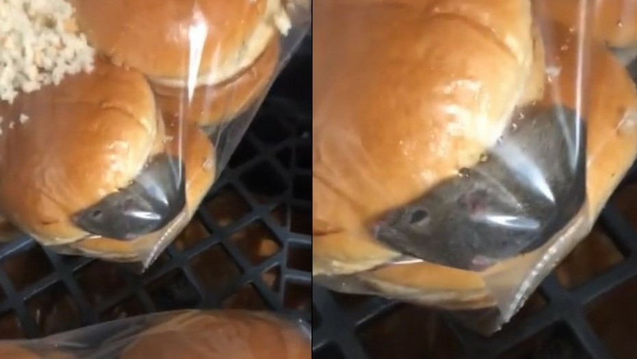 La trabajadora dijo que no hay control de higiene en la sucursal de Wendy's donde trabajaba (Especial).