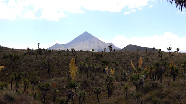 Conexión Milenio. Malpaís de Tepeyahualco