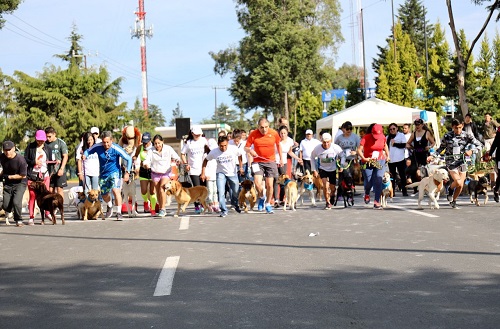 Durante el evento. (Especial)