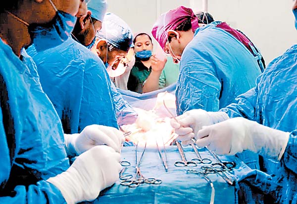 Los órganos fueron enviados al Hospital de Pediatría del CMN Siglo XXI.