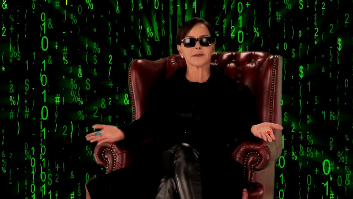 Purificación Carpinteyro entró a la Matrix y lanzó un video en el que pide votar por Nueva Alianza (Facebook).