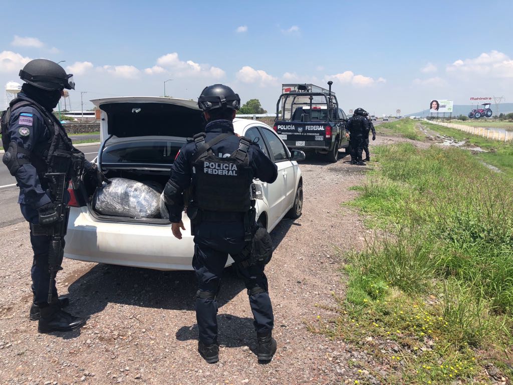 Aseguran marihuana en Irapuato