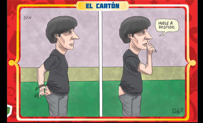 El cartón.
