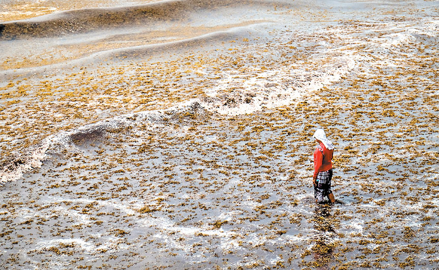 Empleado limpia la playa Gaviota Azul en plena temporada vacacional de verano. (Elizabeth Ruiz/Cuartoscuro)