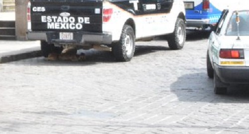 Las autoridades fueron avisadas del suceso. (Archivo/Especial)