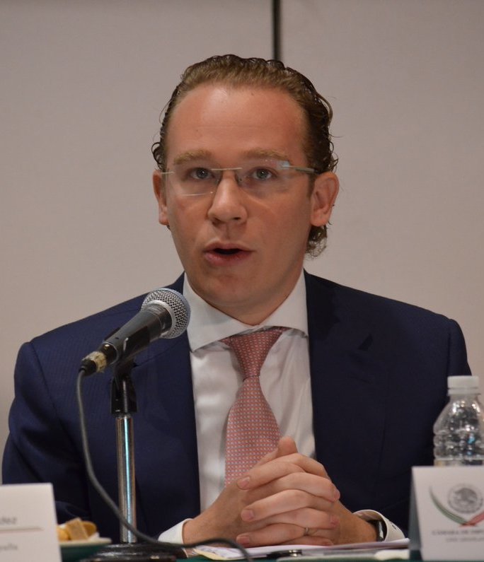 Fue diputado del PAN en la VI Legislatura de la ALDFDesde 2008 es consejero regional y miembro del comité directivo regional del PAN-DF.De 2015 a 2018 fue diputado federal de representación proporcional por el PAN.