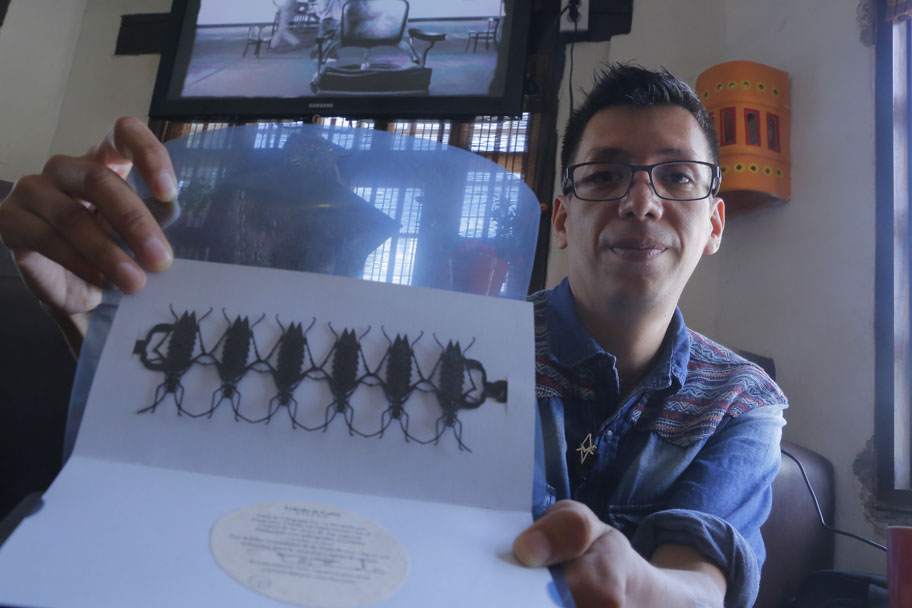 Este concepto le fue transmitido por el artista Francisco Toledo. (Manuel Guadarrama)