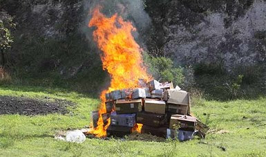 Destruyen objetos decomisados en León