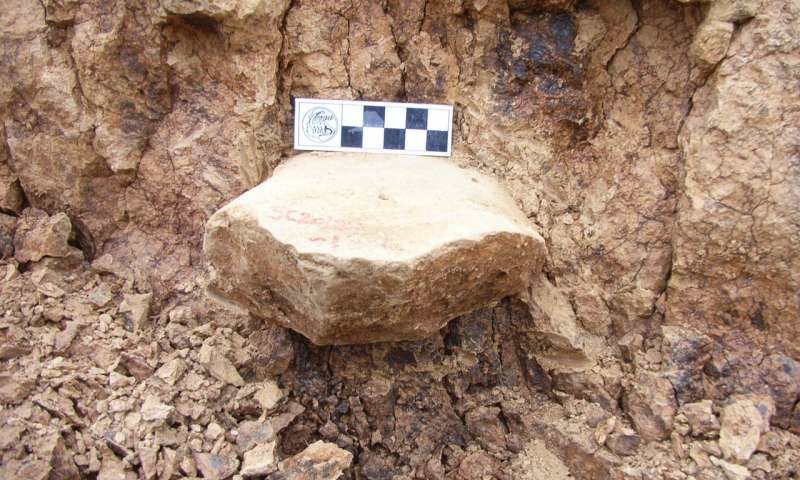 Las herramientas y huesos sugieren que los primeros humanos salieron de África antes de lo que se pensaba. (Zhaoyu Zhu / Europa Press)