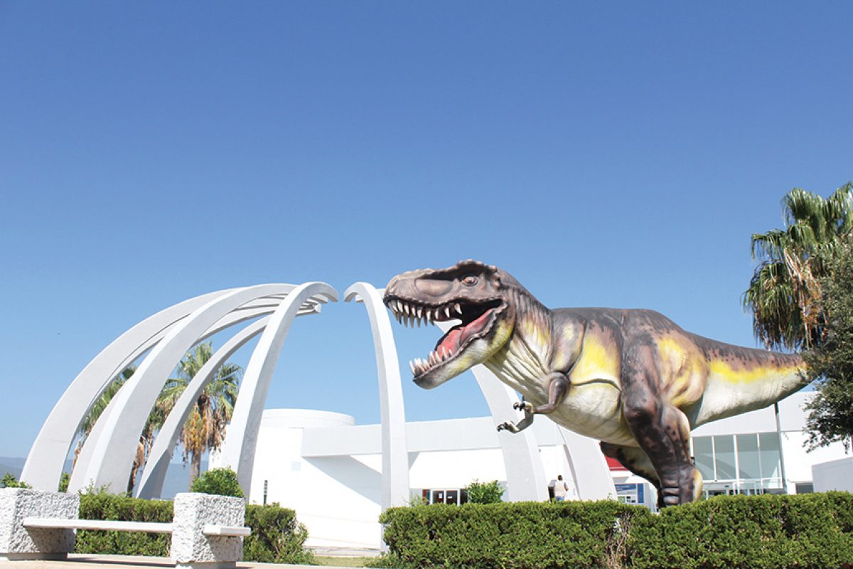 Museo Tamux  en Ciudad Victoria (Especial)