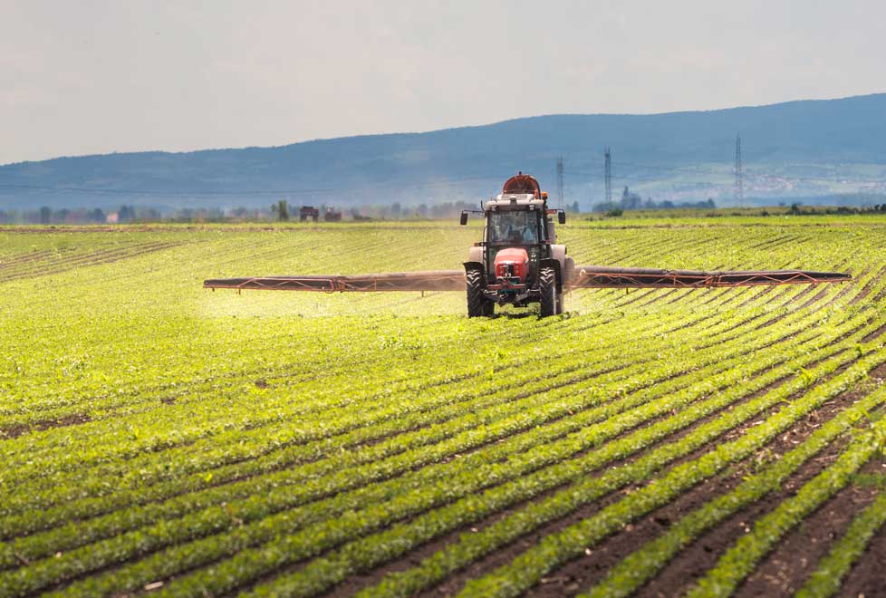 Entre 2012 y 2016, la mitad de los contratos de soya y trigo en el mercado de futuros se automatizaron (Shutterstock).