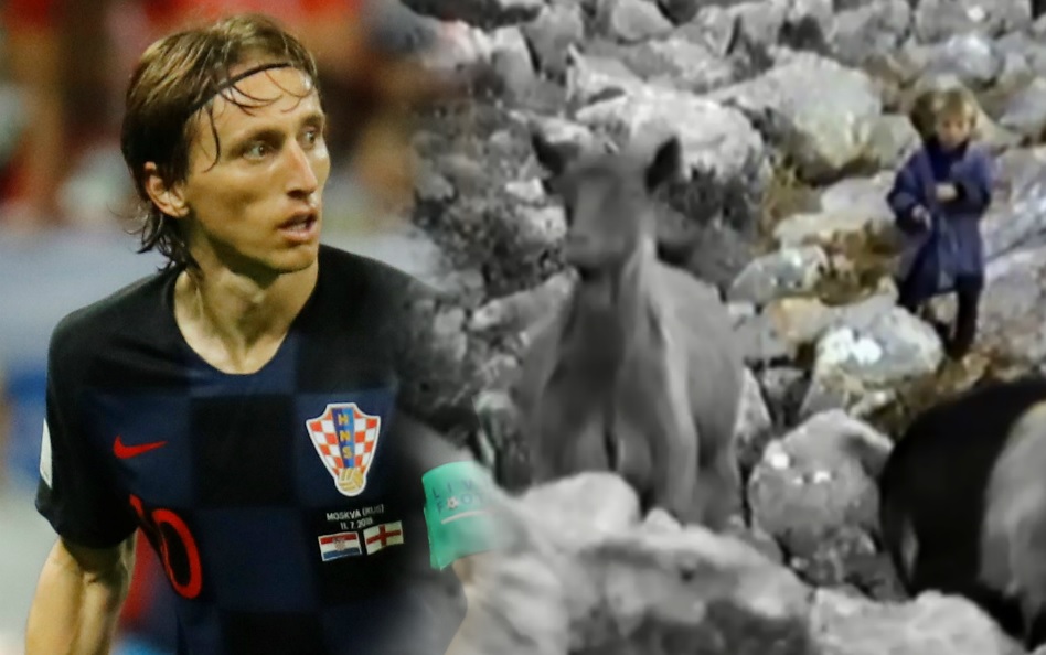 Luka Modric cuidaba cabras a los 5 años (Reuters / Youtube: Pavle Balenovic)