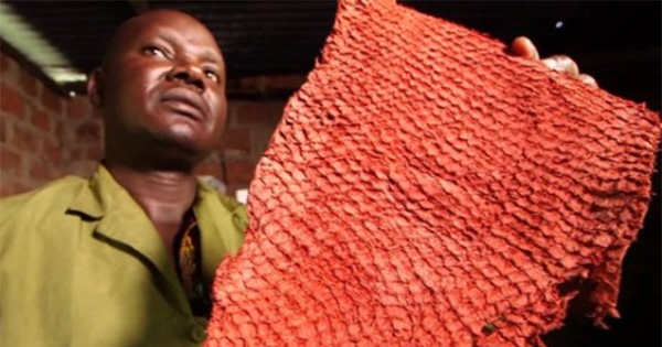 Newton Owino, el autor intelectual de ingeniosa idea de usar piel de pescado en la moda. (AFP)